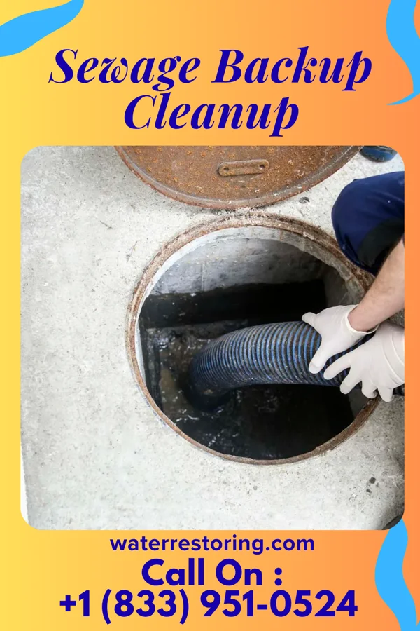 Sewage Backup Cleanup in Winterset, IA