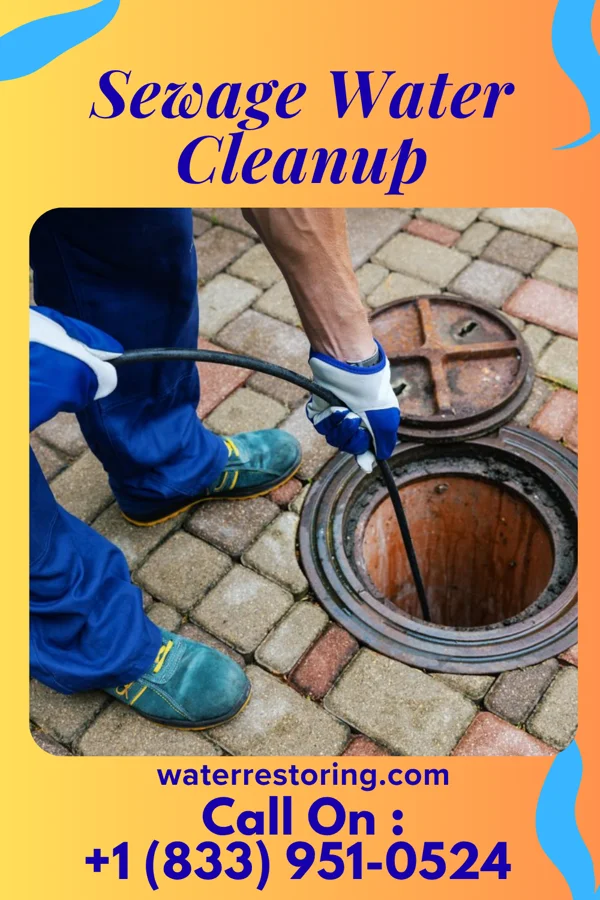 Sewage Water Cleanup in Winterset, IA